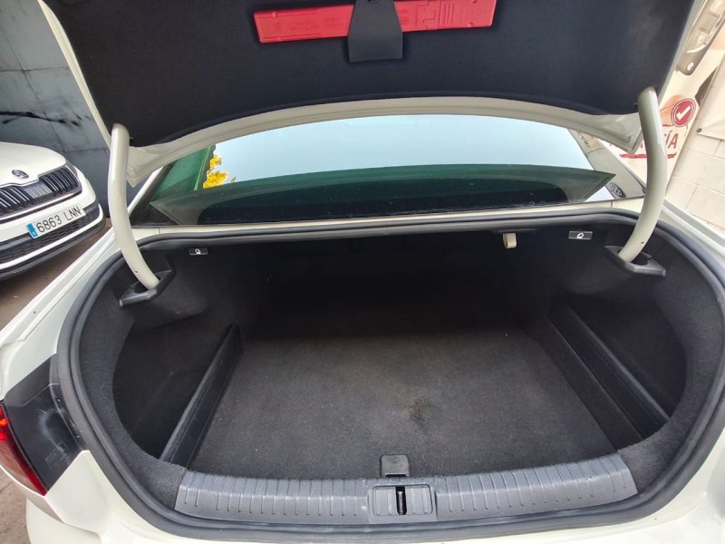 Foto 9 de VOLKSWAGEN Passat Executive 2.0 TDI 110kW 150CV DSG