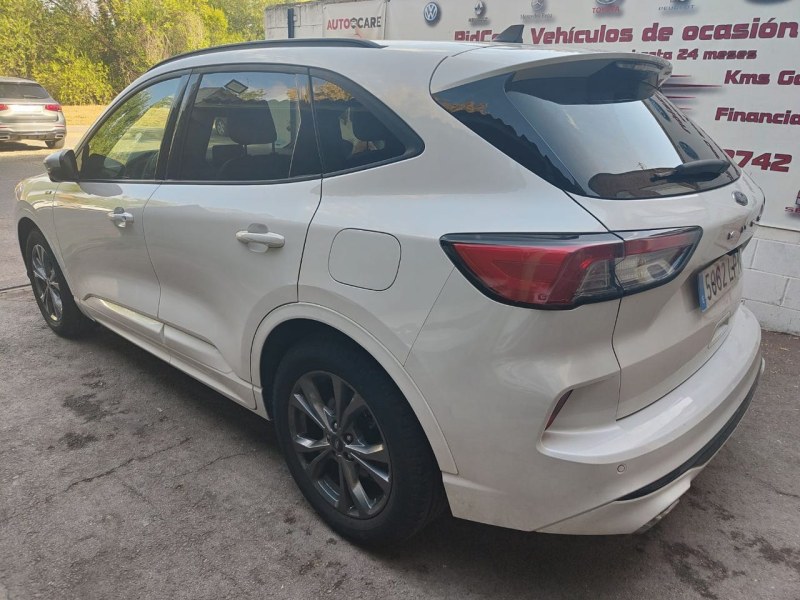 Foto 4 de FORD Kuga STLine X 1.5 EcoBlue 88kW 120CV